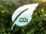 livebetter-article-2024-4-banner-1404x630