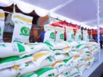 bantuan_beras_30_kg_tahap_ii_mulai_disalurkan_agustus_berikut_jadwal_dan_kriteria_penerimanya