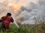 hotspot-karhutla-turun-tajam